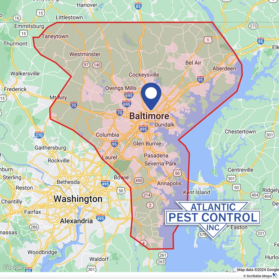 Atlantic Pest Service Area Map Baltimore, MD