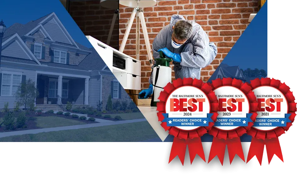 image-baltimore-suns-best