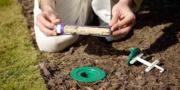 checking Sentricon termite bait station